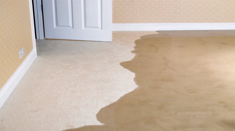 How Fast Should You Act After a Flood or Leak?